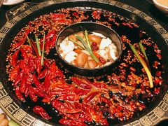 鸳鸯菌汤锅-纸盐河码头火锅(十八梯店)