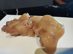-丁老爷子苏香圆