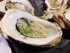-烧蠔帮·生蚝海鲜牌档(观海店)