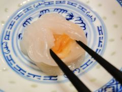 虾饺-捷信牛奶甜品世家(五道口店)