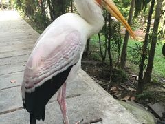 -吉隆坡雀鸟公园