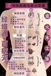-姜美堂·蒸姜除湿の纤体美颜馆