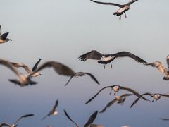 -大连海昌东方水城