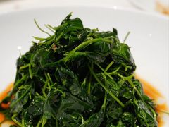 -绿波廊七号(豫园新路店)