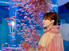 -海合安成都极地海洋公园