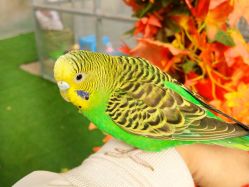 -萌宠亲子动物乐园(槐房万达店)