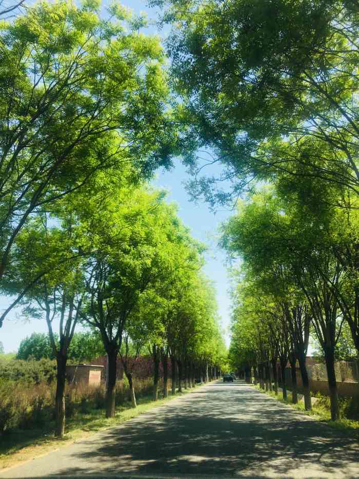 宽沟宸居小院(亲子烧烤生态园)-"闺蜜聚餐 [薄荷]环境:环境惬意美好,.