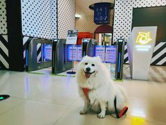 -幸福蓝海国际影城(崇安寺T12店)