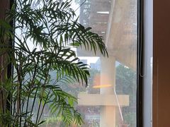 -上岛咖啡(珠园店)