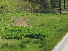 -兴玉妈妈土菜馆(人民大街店)