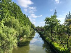 -上海长兴岛郊野公园