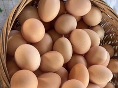 -马陆小张葡萄园农家乐