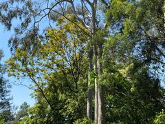 -白云山风景名胜区