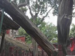 -晋祠公园