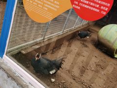 -无锡动物园·太湖欢乐园