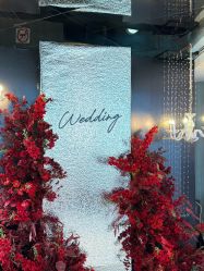 -Doris一站式游轮婚礼船东直营店(外滩店)
