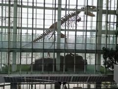 -吉林省自然博物馆