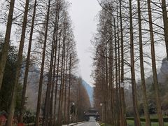 -青城山