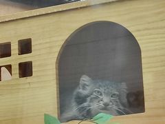 -青藏高原野生动物园
