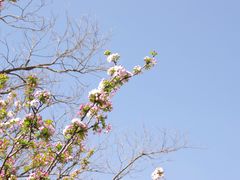 -海棠花溪(元大都城垣遗址公园)