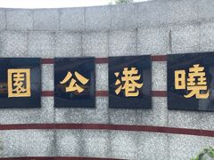 -晓港公园