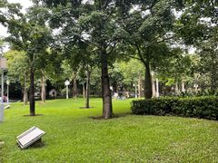 -顺峰山公园