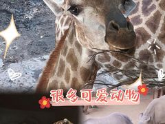 -长鹿旅游休博园