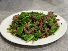 芥蓝牛肉-文章牛肉汤