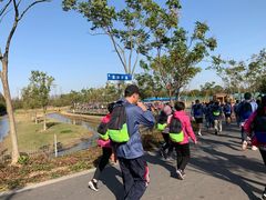 -上海长兴岛郊野公园