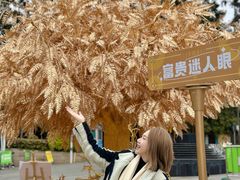 -万科生活广场(东莞松山湖店)