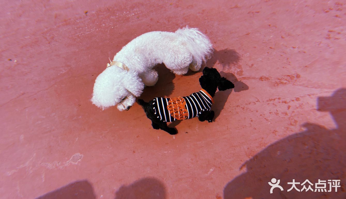 团建的意外惊喜