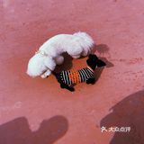 团建的意外惊喜