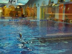 -ABC Swim亲子游泳俱乐部(河西店)
