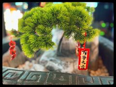 -屋有岛沉浸游戏旗舰店(中山公园店)