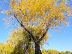 -长春市南湖公园