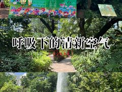 -九龙公园