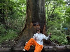 -天目山大树王景区