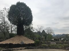 -Club Med地中海俱乐部·桂林度假村