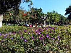 -天河儿童公园