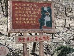 -金龙寺国家森林公园