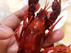 -怪怪龙虾·澳洲蓝龙王·深夜食堂(惊驾路店)