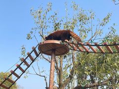 -杭州野生动物世界