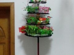 -雷泰泰台式胡椒虾(滨江金铂湾店)