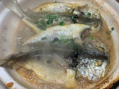 生焗黄花鱼-砂唐居(总店)