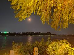 -东莞松山湖凯悦酒店
