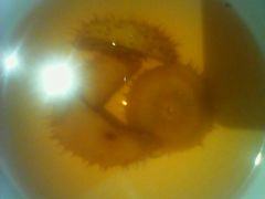 -黔蘑菇四季餐厅(观山湖店)