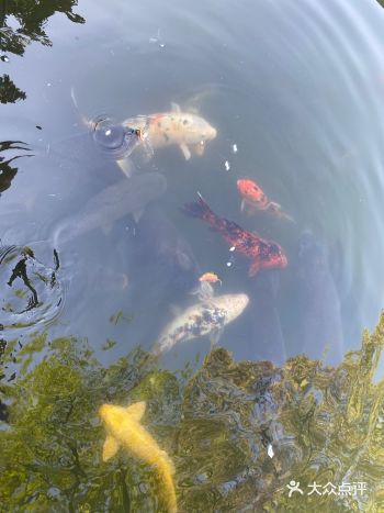 一张门票游两园，赏花踏青攻略