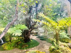 -Chom Cafe and Restaurant