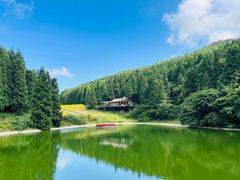 -武陵山森林公园