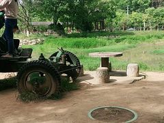 -青龙山国家森林公园